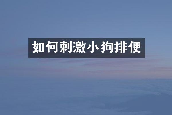 如何刺激小狗排便