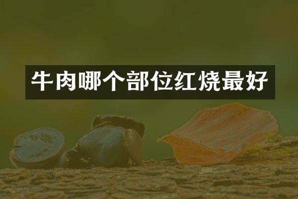 牛肉哪个部位红烧最好