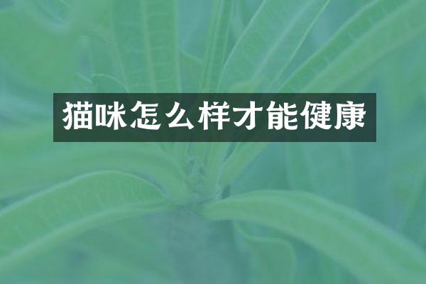 猫咪怎么样才能健康