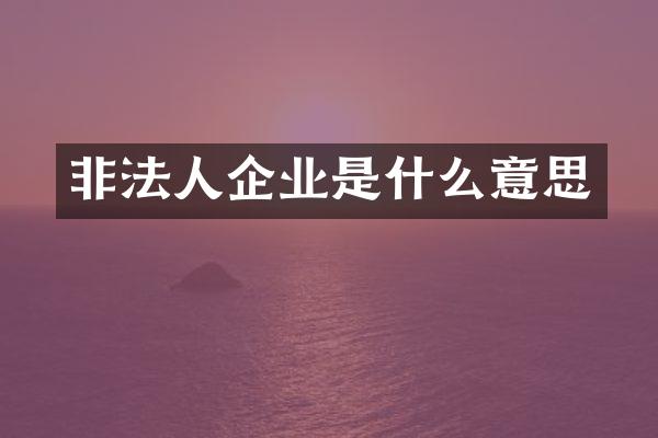非法人企业是什么意思