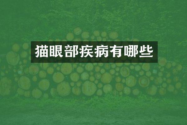猫眼部疾病有哪些