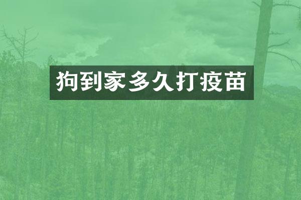 狗到家多久打疫苗