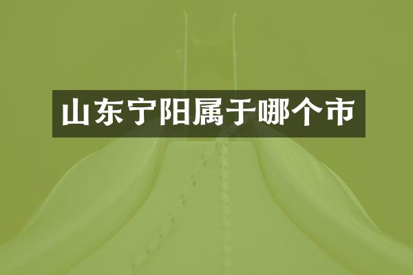山东宁阳属于哪个市