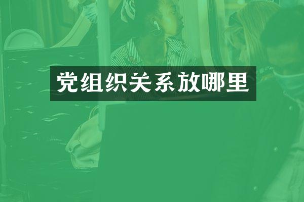 党组织关系放哪里