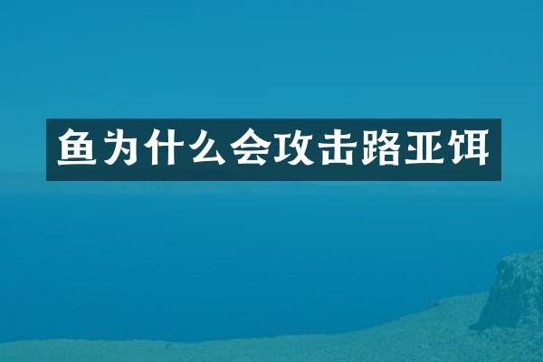 鱼为什么会攻击路亚饵