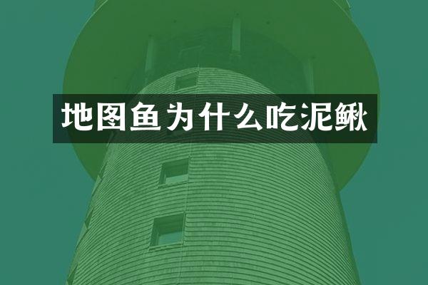 地图鱼为什么吃泥鳅