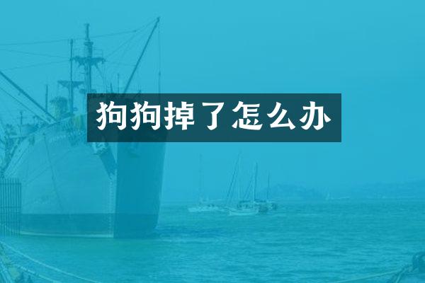 狗狗掉了怎么办