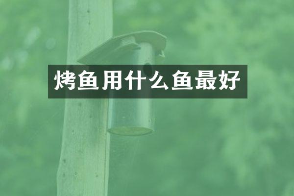 烤鱼用什么鱼最好