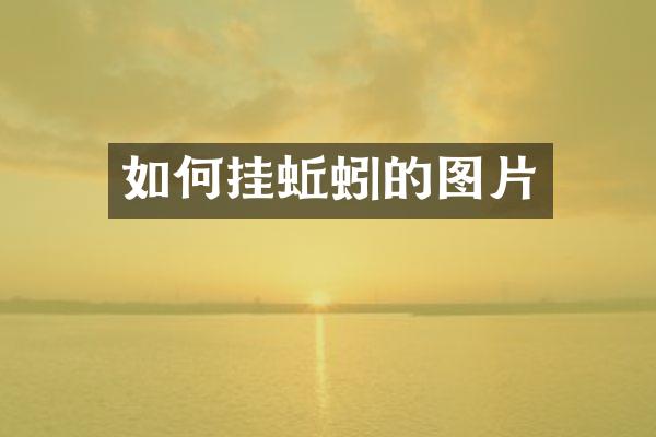 如何挂蚯蚓的图片