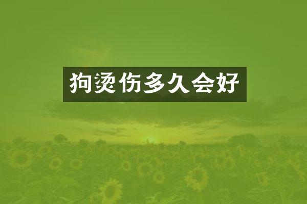 狗烫伤多久会好