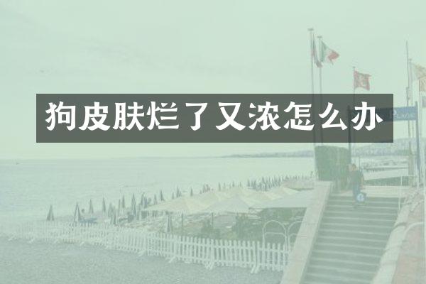 狗皮肤烂了又浓怎么办