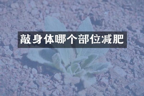 敲身体哪个部位减肥