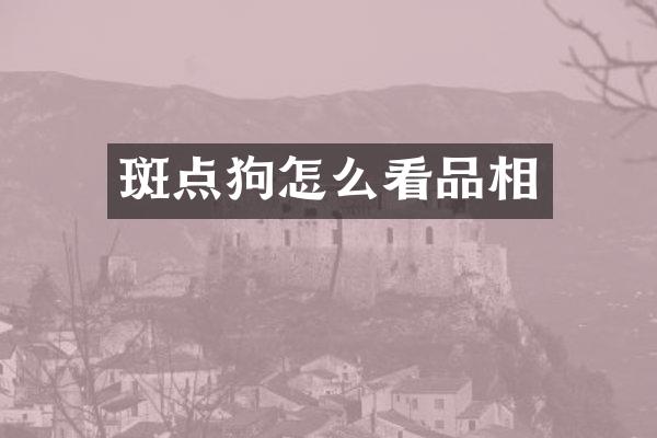 斑点狗怎么看品相
