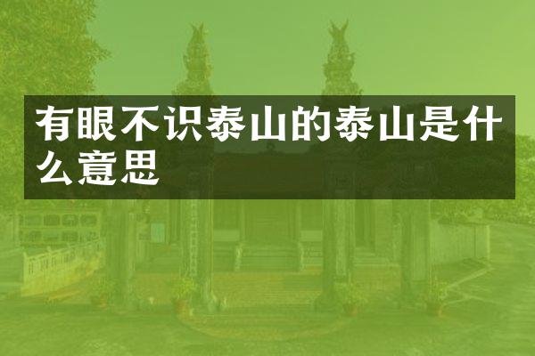 有眼不识泰山的泰山是什么意思