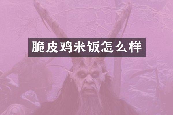 脆皮鸡米饭怎么样