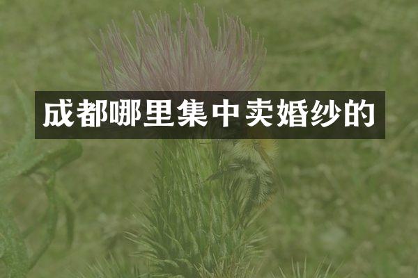 成都哪里集中卖婚纱的