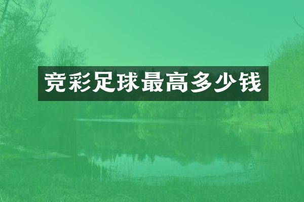 竞彩足球最高多少钱