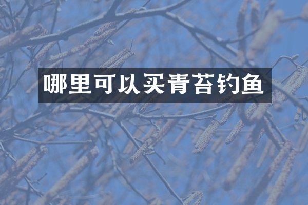 哪里可以买青苔钓鱼