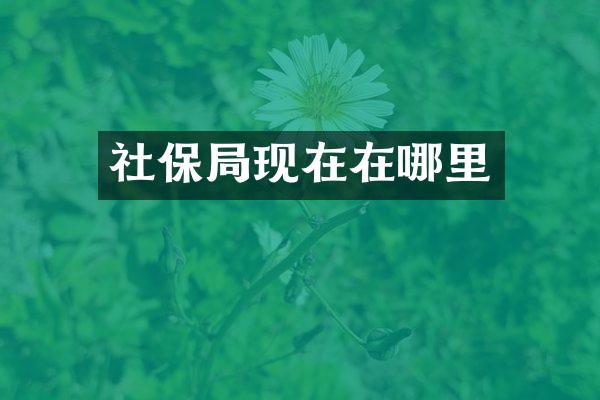 社保局现在在哪里
