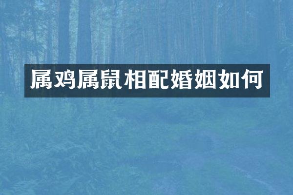属鸡属鼠相配婚姻如何