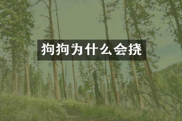 狗狗为什么会挠