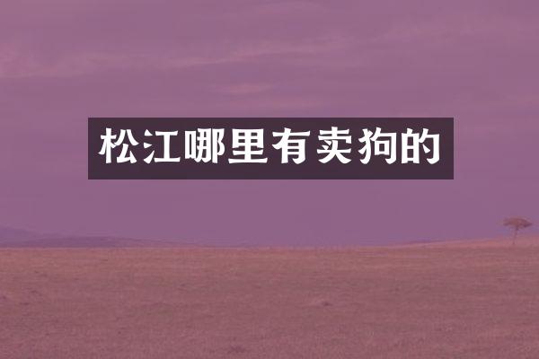 松江哪里有卖狗的