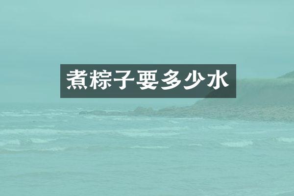 煮粽子要多少水