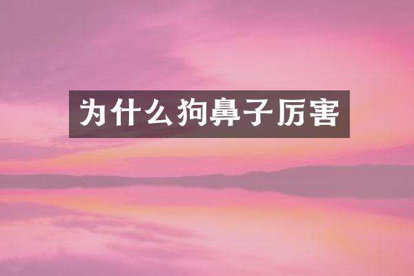 为什么狗鼻子厉害