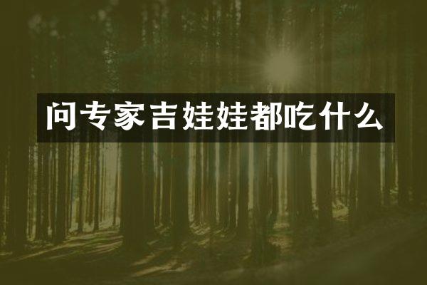 问专家吉娃娃都吃什么