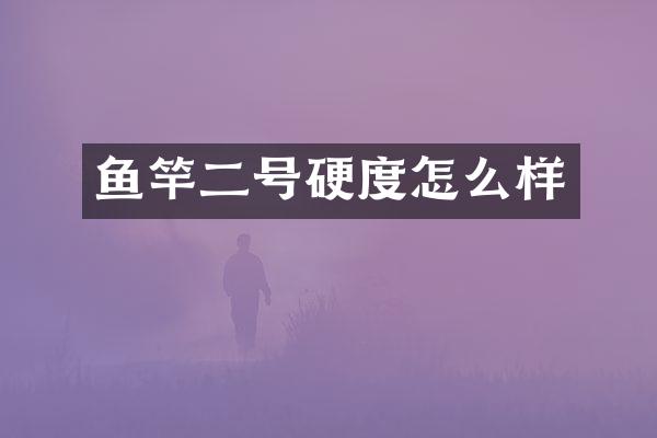 鱼竿二号硬度怎么样