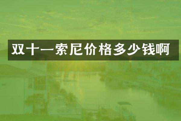 双十一价格多少钱啊