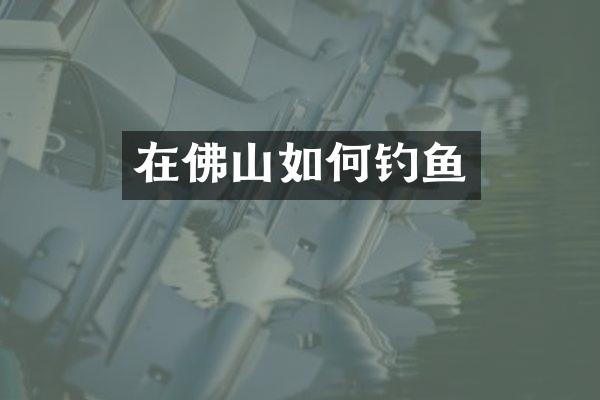 在佛山如何钓鱼