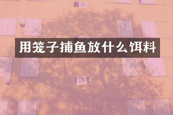 用笼子捕鱼放什么饵料