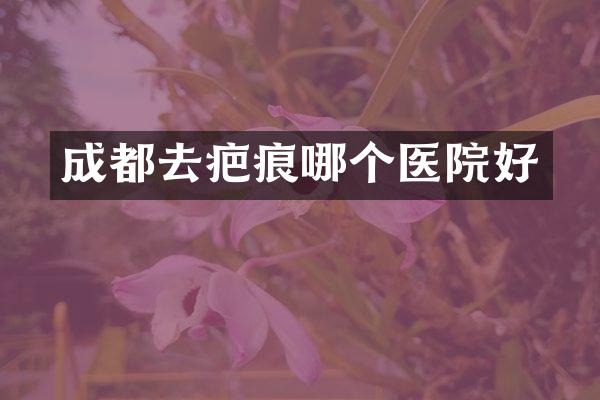 成都去疤痕哪个医院好