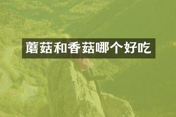 蘑菇和香菇哪个好吃