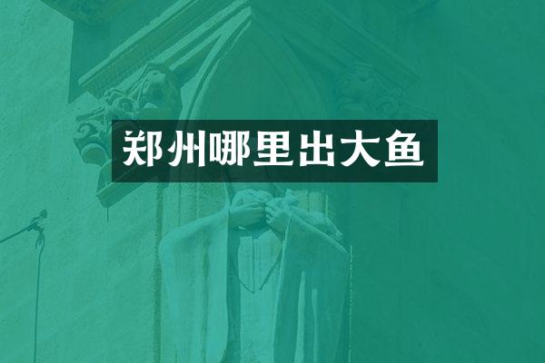 郑州哪里出大鱼