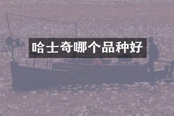 哈士奇哪个品种好