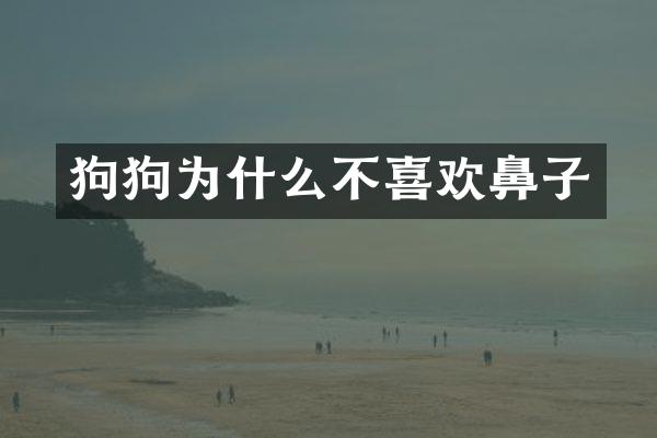 狗狗为什么不喜欢鼻子