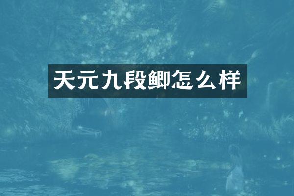 天元九段鲫怎么样