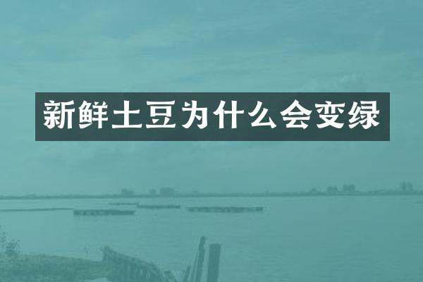 新鲜土豆为什么会变绿