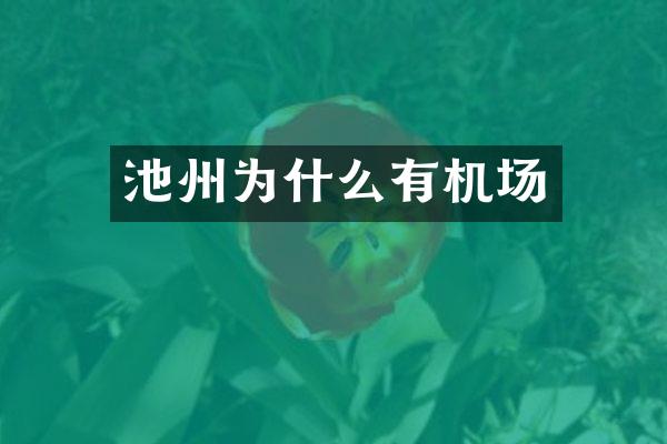 池州为什么有机场