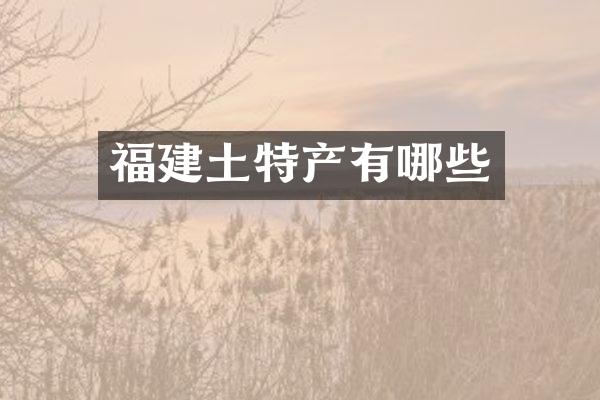 福建土特产有哪些