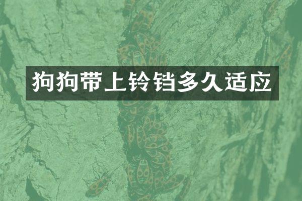 狗狗带上铃铛多久适应