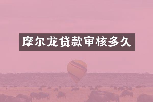 摩尔龙贷款审核多久