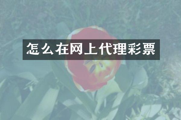 怎么在网上代理彩票