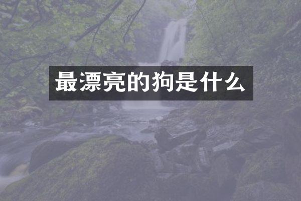 最漂亮的狗是什么