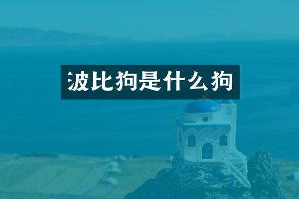 波比狗是什么狗