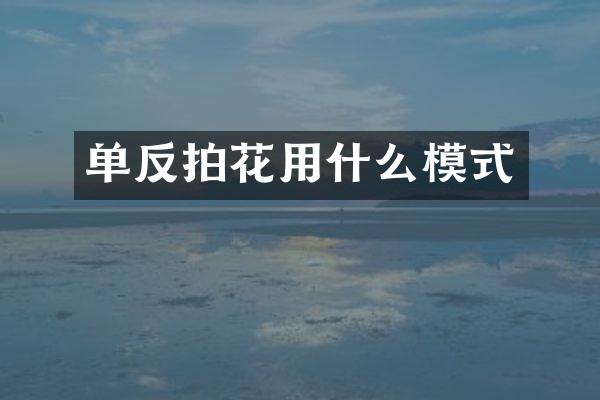 单反拍花用什么模式