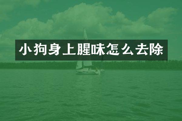 小狗身上腥味怎么去除