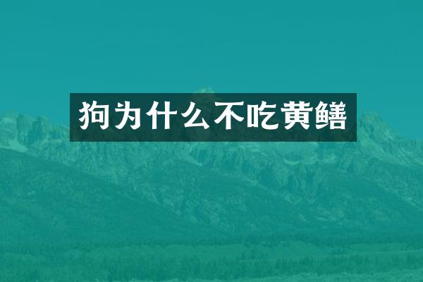 狗为什么不吃黄鳝